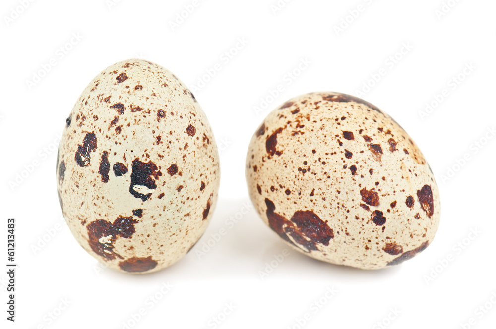 two quail eggs two quail eggs