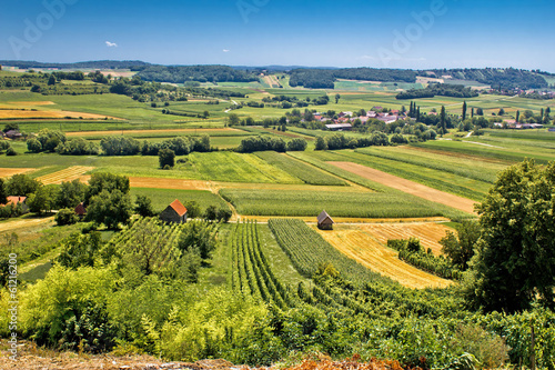 Beautiful green landscape in Kalnik vineyard area