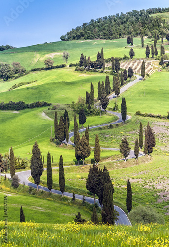 Road with curves and cypresses in Tuscany, Italy