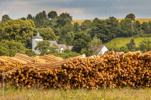Piles of Wood Timber Trunks at a Lumber Yard in Germany