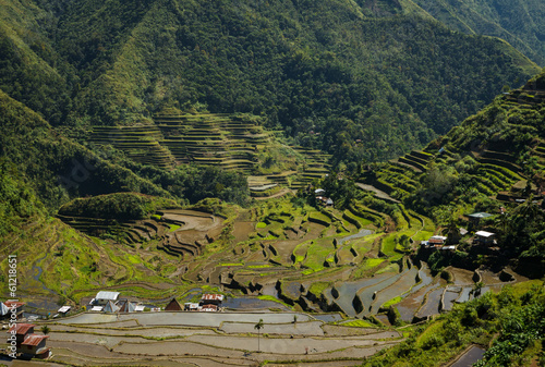 Banawe  rice terraces
