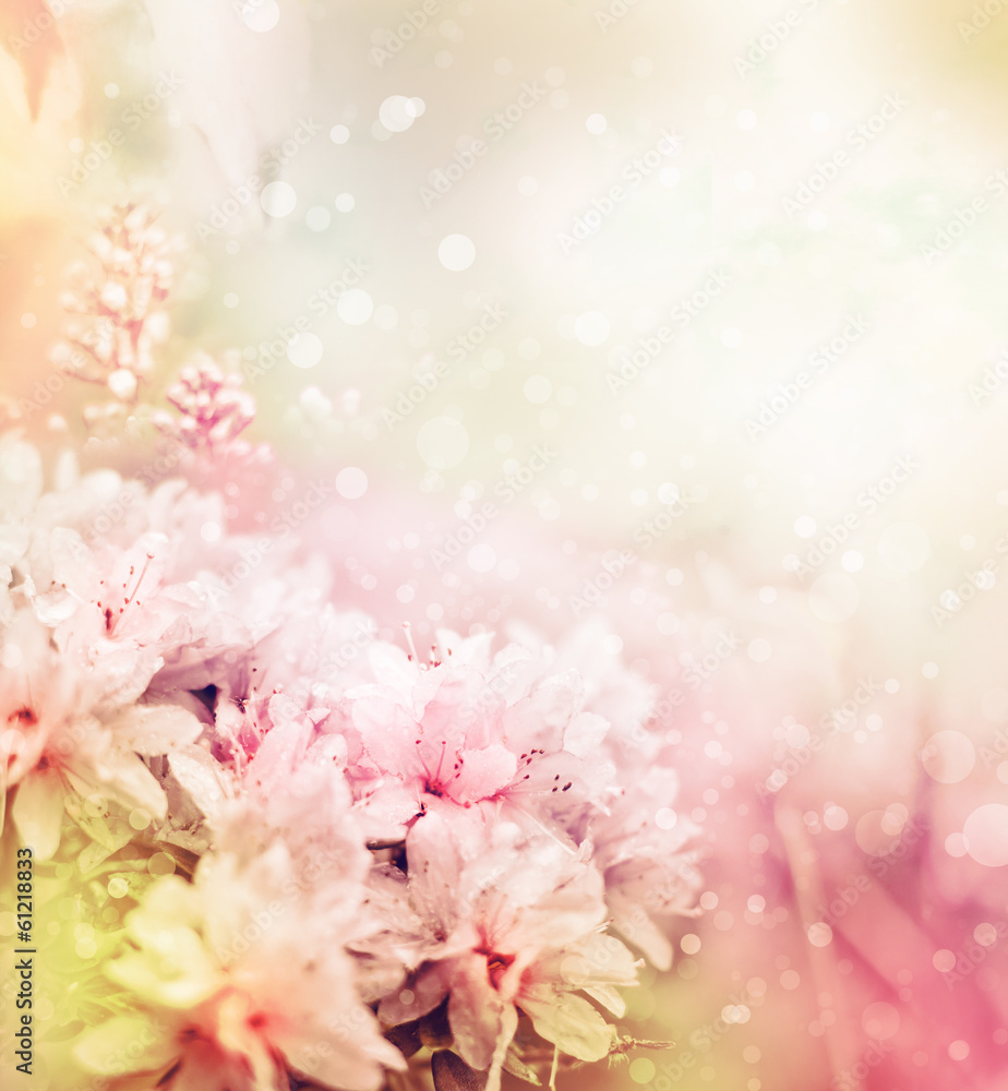 Obraz piękne kwiaty w ogrodzie/wiosenne kwiaty