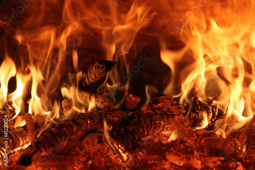 il fuoco nel forno a legna