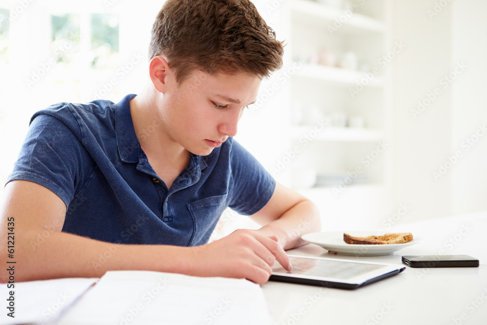 Teenage Boy Studying Using Digital Tablet At Home Teenage Boy Studying Using Digital Tablet At Home