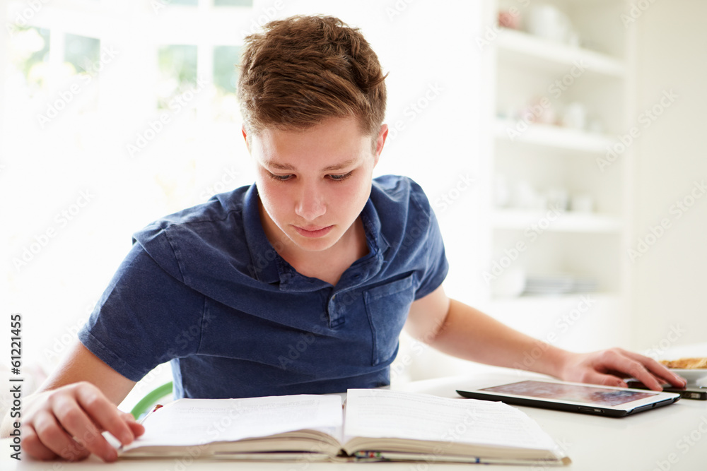 Teenage Boy Studying Using Digital Tablet At Home Teenage Boy Studying Using Digital Tablet At Home