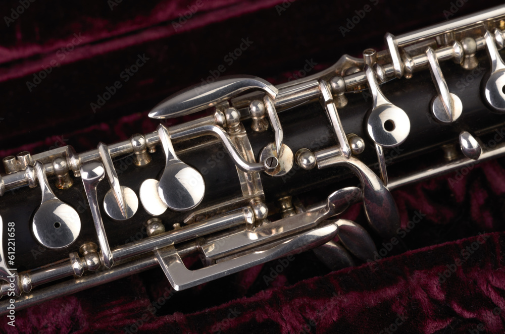Fototapeta premium Oboe mit Koffer