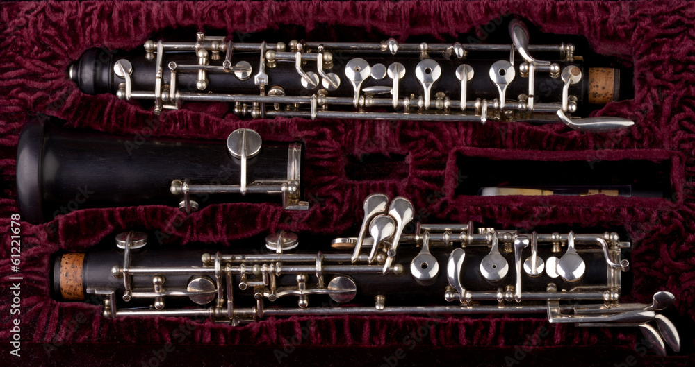 Obraz premium Oboe mit Koffer