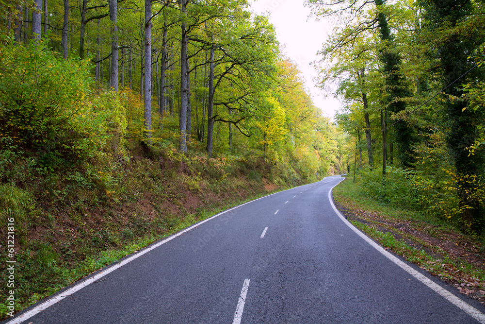 Pyrenees curve road in forest Pyrenees curve road in forest