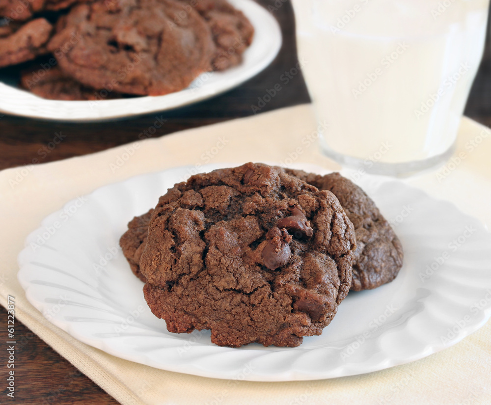 Chocolate Chocolate Chip Cookies Chocolate Chocolate Chip Cookies