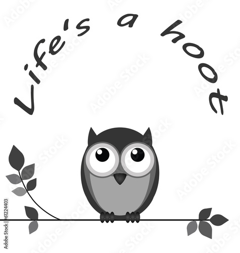 Life is a hoot owl message