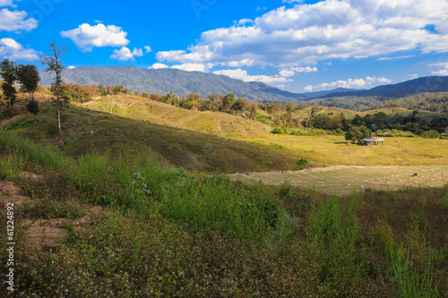 A rural view of farmland in North of Thailand