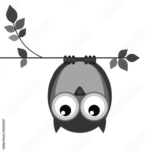 Upside down owl on a branch