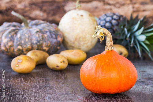 Colorful Pumpkins on wood background