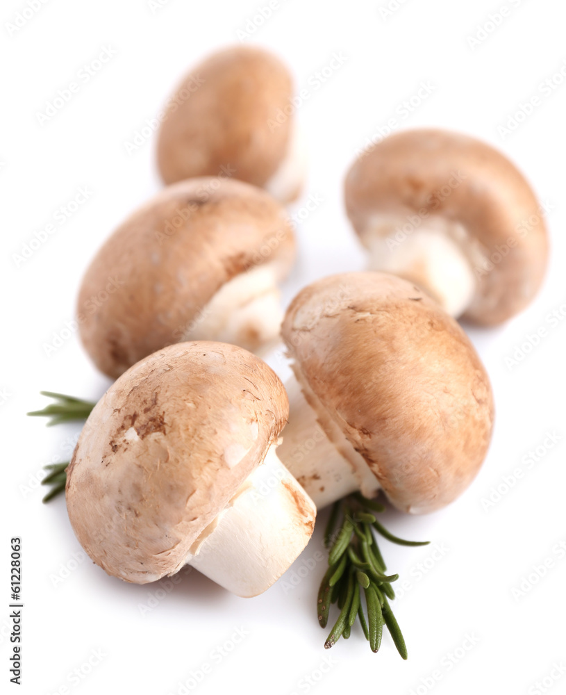 Fresh mushrooms isolated on white Fresh mushrooms isolated on white