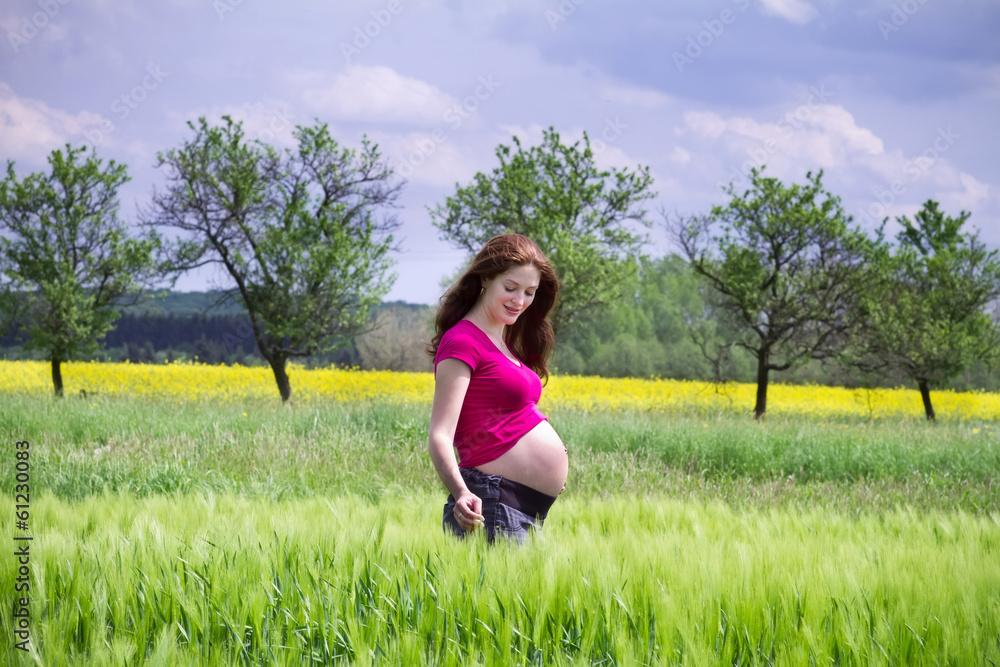 Beautiful young pregnant woman walking in a summer field Beautiful young pregnant woman walking in a summer field