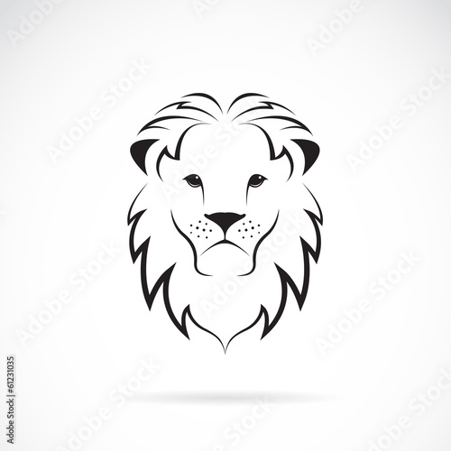 Fototapeta Naklejka Na Ścianę i Meble -  Vector image of an lion head