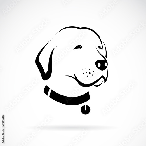 Vector of a labrador dog's head on white background. Pets. Animals.