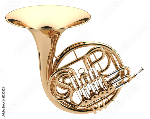 French Horn photo