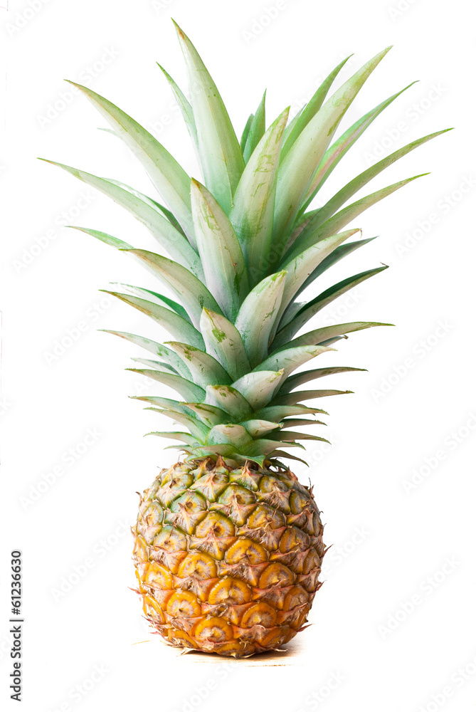 Fresh whole pineapple on white background Fresh whole pineapple on white background