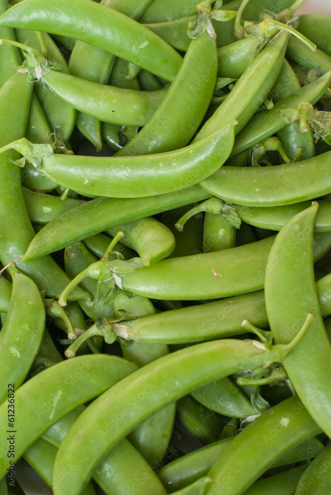 heaps of fresh crisp green peas in a pods. could be also used as heaps of fresh crisp green peas in a pods. could be also used as