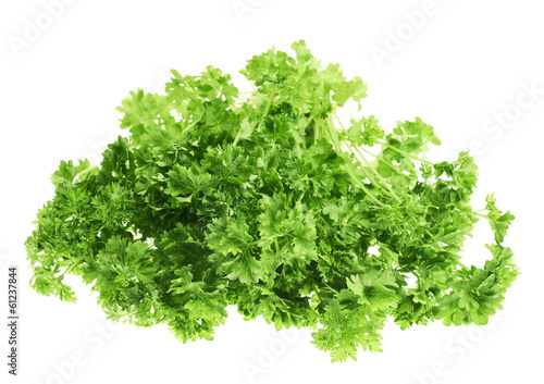 Fresh green parsley isolated