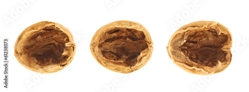 Three walnut shells isolated
