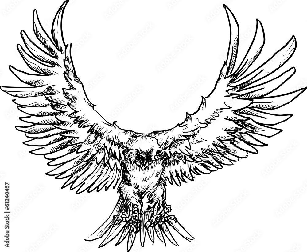 Fototapeta premium hand drawn eagle