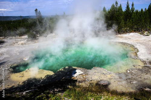 Emerald Springs