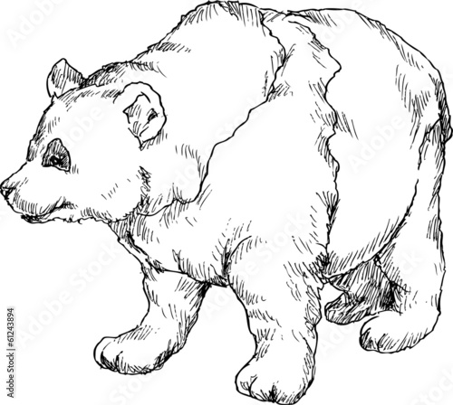 Fototapeta Naklejka Na Ścianę i Meble -  hand drawn bear