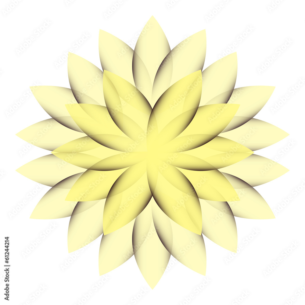 Fototapeta premium Yellow Wheel Flower transparent