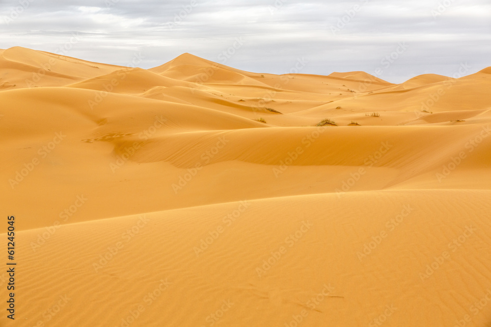Erg Chebbi Wüste, Marokko - obrazy, fototapety, plakaty 