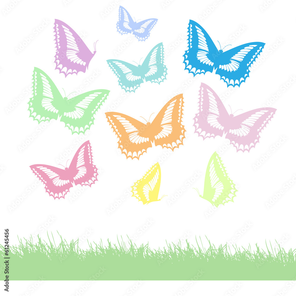 Schmetterlinge und Wiese Schmetterlinge und Wiese