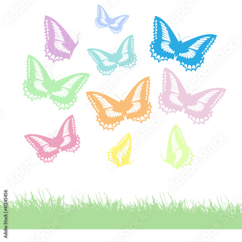 Schmetterlinge und Wiese