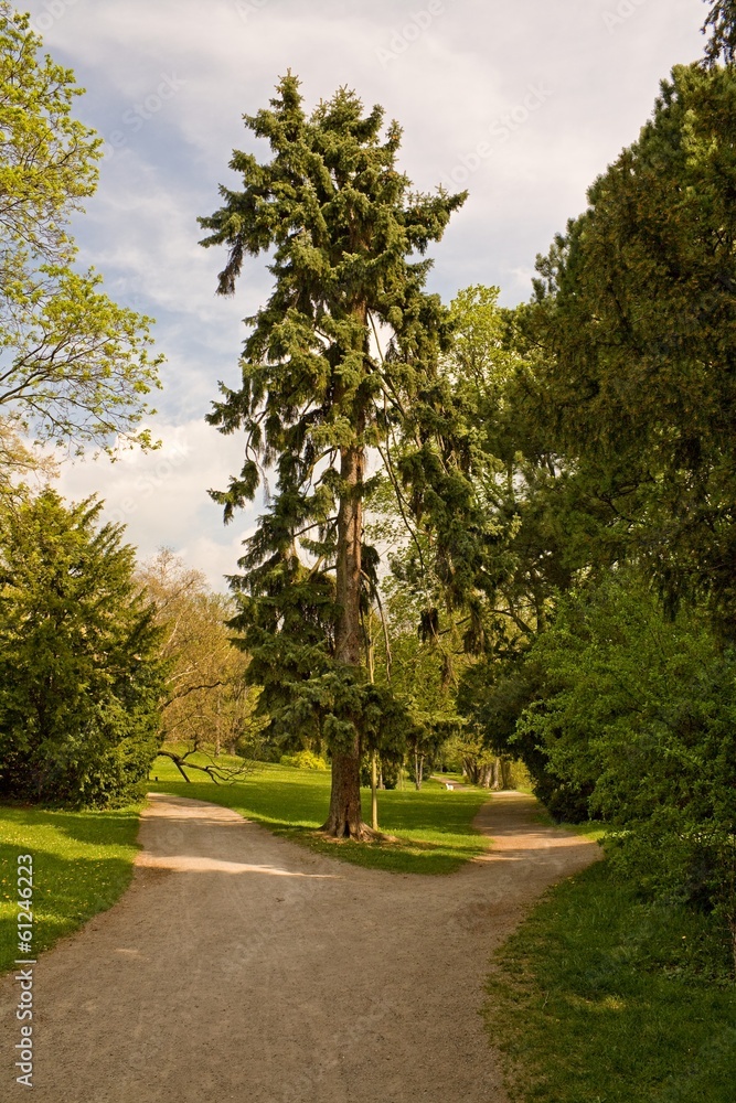 in the park in the park
