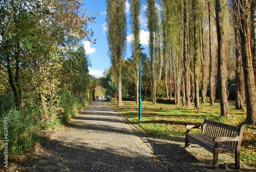 Obraz na plátně Banc le long des peupliers