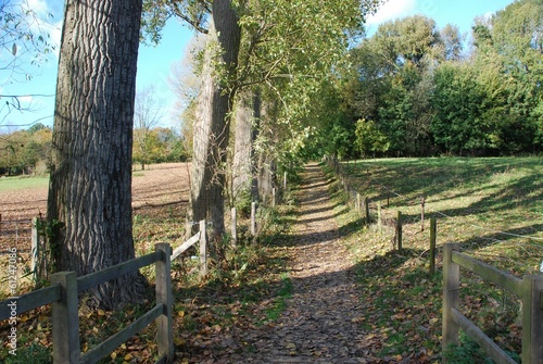 Passage entre le bas et le haut du parc