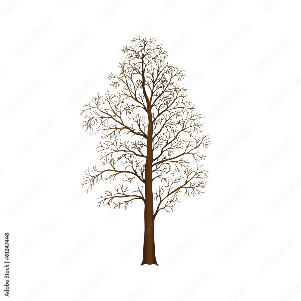 detached tree without leaves, vector illustrations detached tree without leaves, vector illustrations