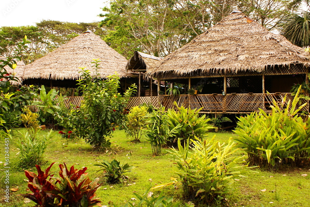 Peru, Peruvian Amazonas landscape. The photo present typical ind