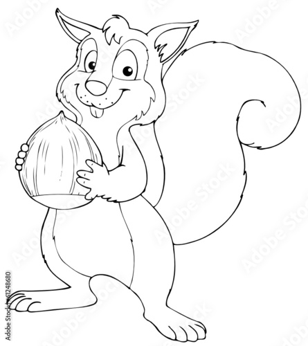 Eichhörnchen, Nuss, Haselnuss