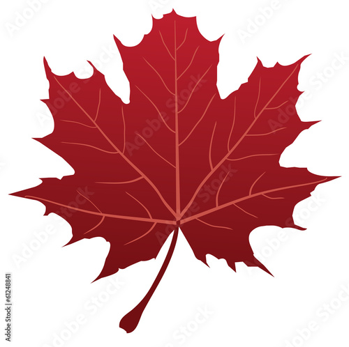 vector red maple leaf silhouette