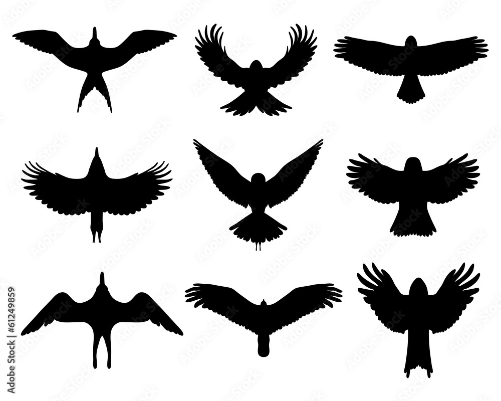 Fototapeta premium Black silhouettes of birds in flight, vector isolated