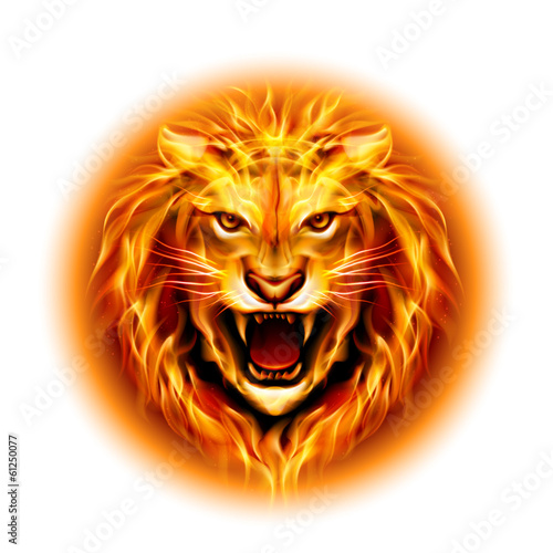 Head of fire lion.