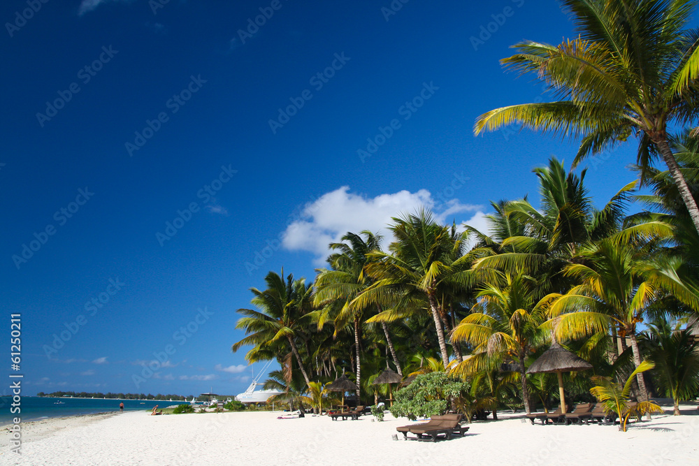 Obraz premium Tropical beach with boat and palms