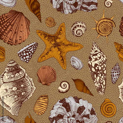 Vector seamless vintage pattern with colorful seashells