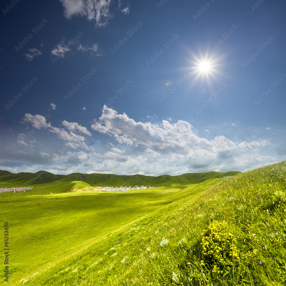 Obraz premium Green landscape