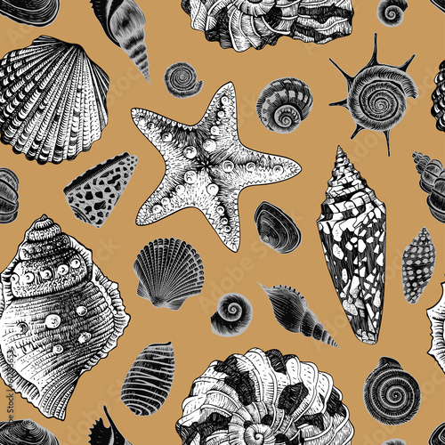Vector seamless vintage pattern with white and black seashells