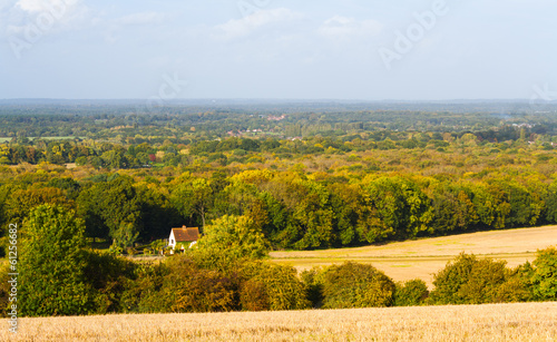 surrey landscape
