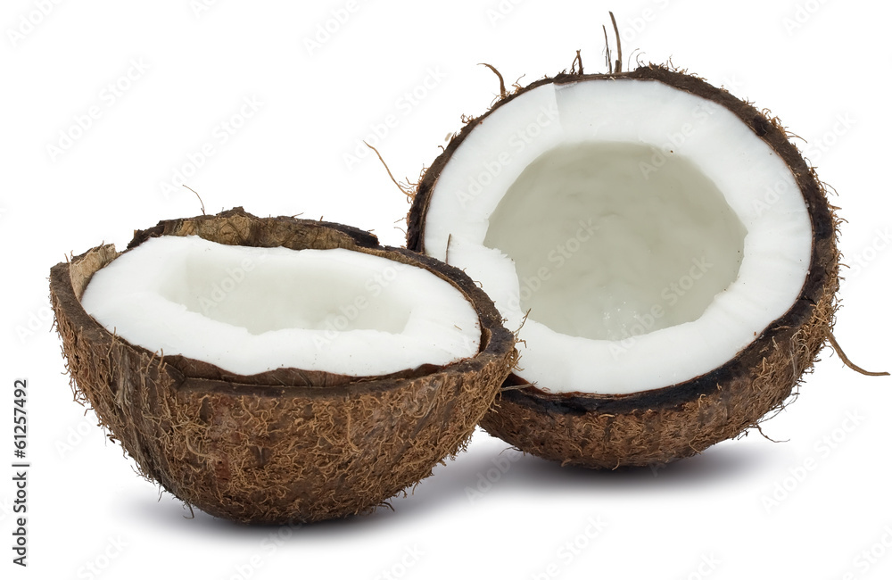 Coconut Coconut