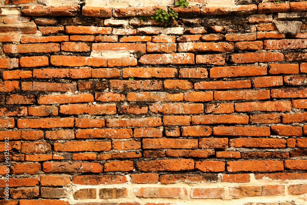 Obraz premium Old red brick wall