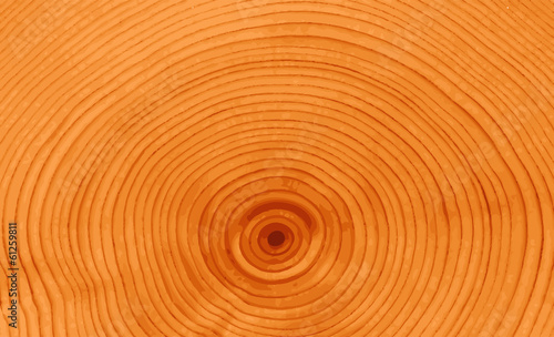 Wood Texture Background